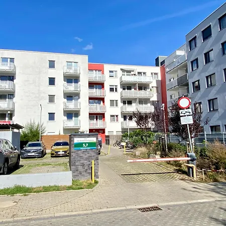 Raginisa By Prestige שצ'צ'ין